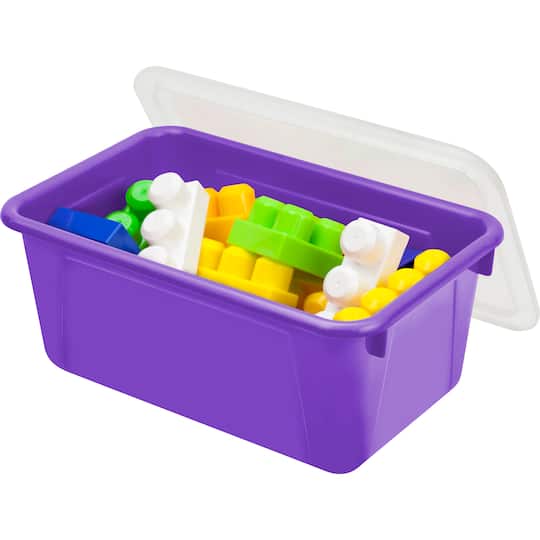 Storex Small Cubby Bin with Cover